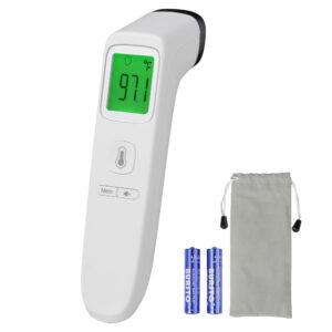 Digital infrared thermometer, batteries, and storage bag.