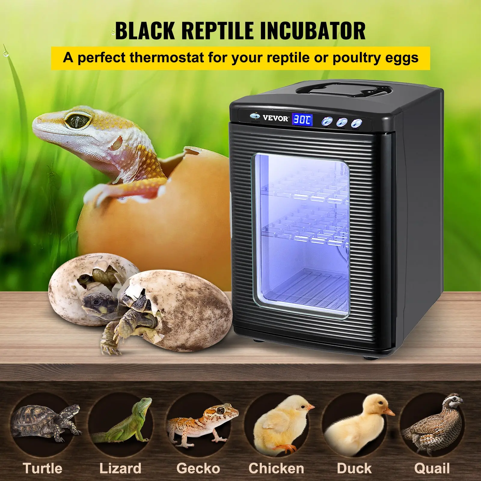 Black reptile incubator for eggs, suitable for various animals.