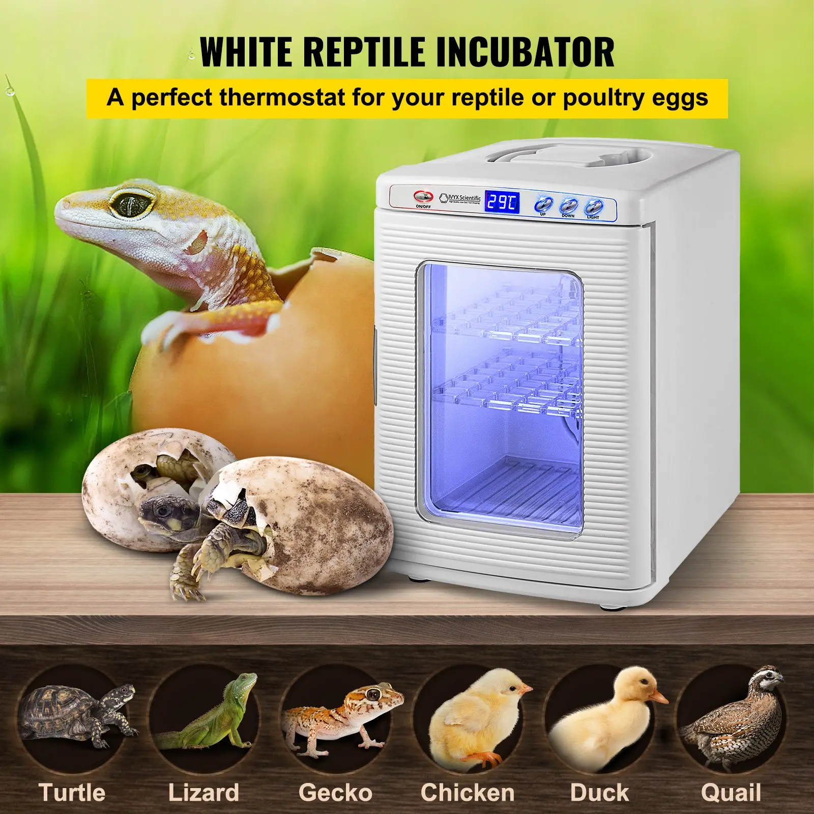 White reptile incubator for reptiles and poultry eggs.