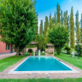 Outdoor pool with surrounding greenery